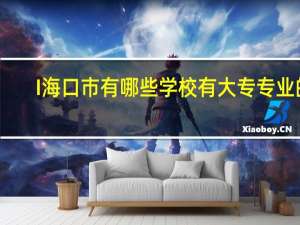 I海口市有哪些学校有大专专业的
