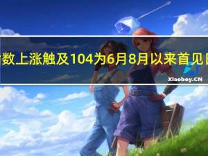 ICE美元指数上涨触及104为6月8月以来首见日内上涨0.58%