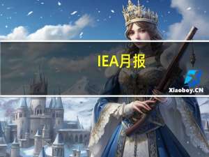 IEA月报：将2023年石油供应增长预测保持在每日150万桶总供应平均为每日1.016亿桶