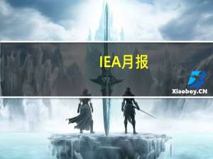 IEA月报：尽管伊朗可能成为仅次于美国的世界第二大石油产量增长来源但欧佩克+的总体产量将在2023年下降