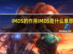 IMDS的作用 IMDS是什么意思