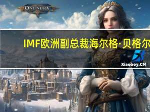 IMF欧洲副总裁海尔格·贝格尔：政府需要为下一次冲击做好财政缓冲准备