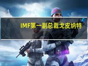 IMF第一副总裁戈皮纳特：必须坚决反对全球脱钩