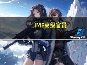 IMF高级官员：关于日元我们的观点是汇率主要受基本面驱动只要利率差异存在日元将继续面临压力