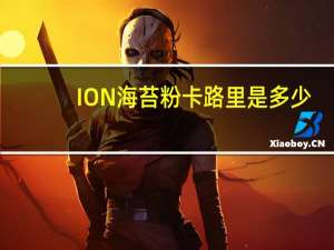 ION 海苔粉卡路里是多少