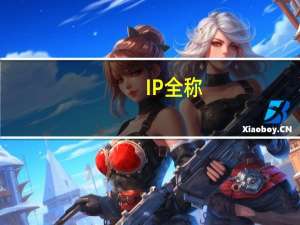 IP全称