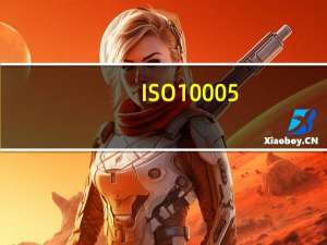 ISO 10005（iso5 1 1）