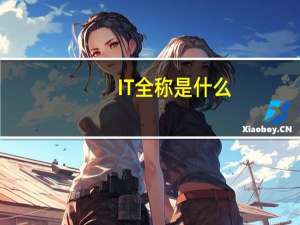 IT全称是什么