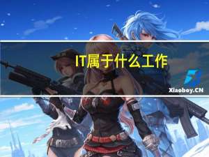 IT属于什么工作