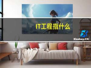 IT工程指什么