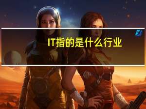 IT指的是什么行业