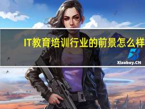 IT教育培训行业的前景怎么样