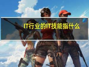 IT行业的IT技能指什么