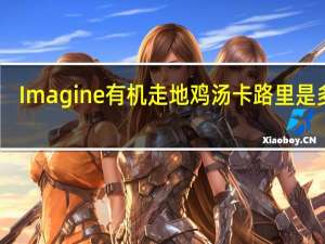 Imagine 有机走地鸡汤卡路里是多少