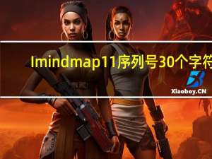 Imindmap11序列号30个字符