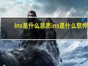 Ins是什么意思 ins是什么软件