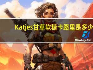 Katjes 甘草软糖卡路里是多少