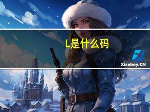 L是什么码