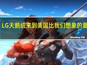 LG天鹅绒来到美国 比我们想象的要便宜