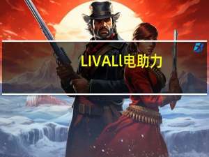 LIVALl电助力（livall）