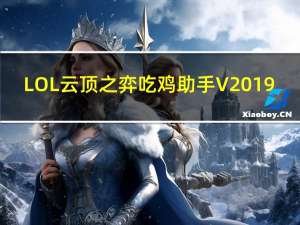 LOL云顶之弈吃鸡助手 V2019.11.1.1 绿色版（LOL云顶之弈吃鸡助手 V2019.11.1.1 绿色版功能简介）