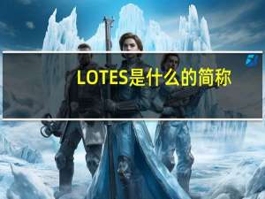 LOTES是什么的简称