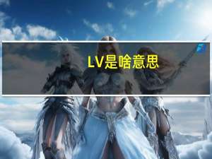 LV是啥意思