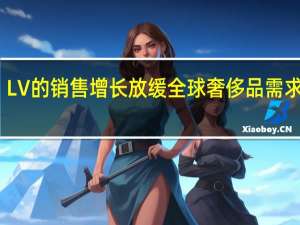 LV的销售增长放缓 全球奢侈品需求降温