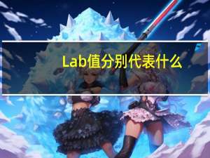 Lab值分别代表什么