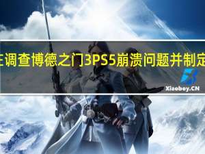 Larian正在调查博德之门3PS5崩溃问题并制定了临时解决方法