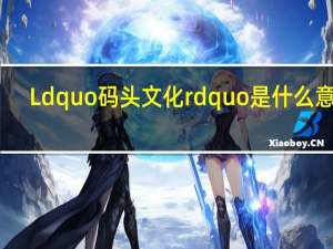 Ldquo码头文化rdquo是什么意思？