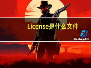 License是什么文件