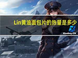 Lin 黄油面包片的热量是多少
