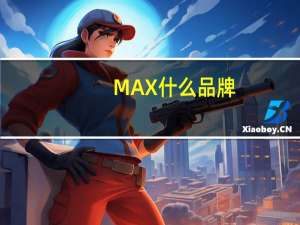 MAX什么品牌