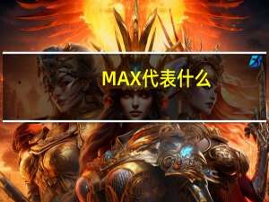 MAX代表什么