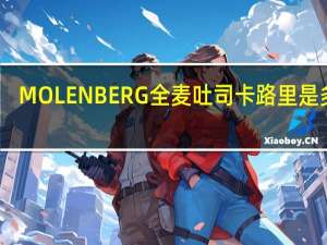 MOLENBERG 全麦吐司卡路里是多少