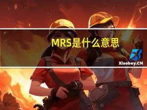 MRS是什么意思，有关经济学的