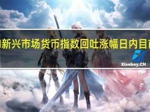 MSCI新兴市场货币指数回吐涨幅日内目前大致持平