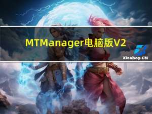 MT Manager电脑版 V2.9.8 官方最新版（MT Manager电脑版 V2.9.8 官方最新版功能简介）