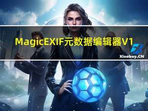MagicEXIF元数据编辑器 V1.09.1253 官方版（MagicEXIF元数据编辑器 V1.09.1253 官方版功能简介）