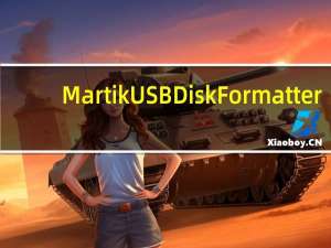 Martik USB Disk Formatter(u盘ntfs格式化工具) V1.1 汉化版（Martik USB Disk Formatter(u盘ntfs格式化工具) V1.1 汉化版功能简介）