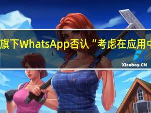 Meta旗下WhatsApp否认“考虑在应用中植入广告”