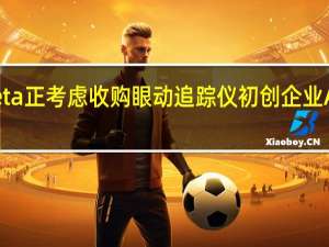 Meta正考虑收购眼动追踪仪初创企业Adhawk