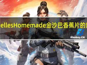 Michelle s Homemade 金沙巴 香蕉片的热量是多少