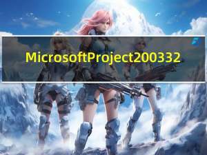 Microsoft Project 2003 32/64位 官方版（Microsoft Project 2003 32/64位 官方版功能简介）