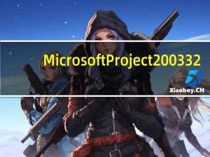 Microsoft Project 2003 32/64位 官方版（Microsoft Project 2003 32/64位 官方版功能简介）