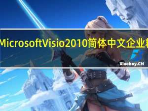 Microsoft Visio 2010 简体中文企业精简版（Microsoft Visio 2010 简体中文企业精简版功能简介）