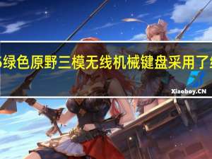 MikitM65绿色原野三模无线机械键盘采用了纯白的包装底色