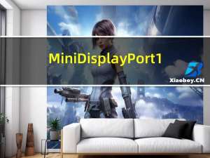 Mini DisplayPort1.4（minidisplayport）