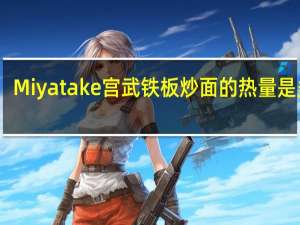 Miyatake 宫武 铁板炒面的热量是多少